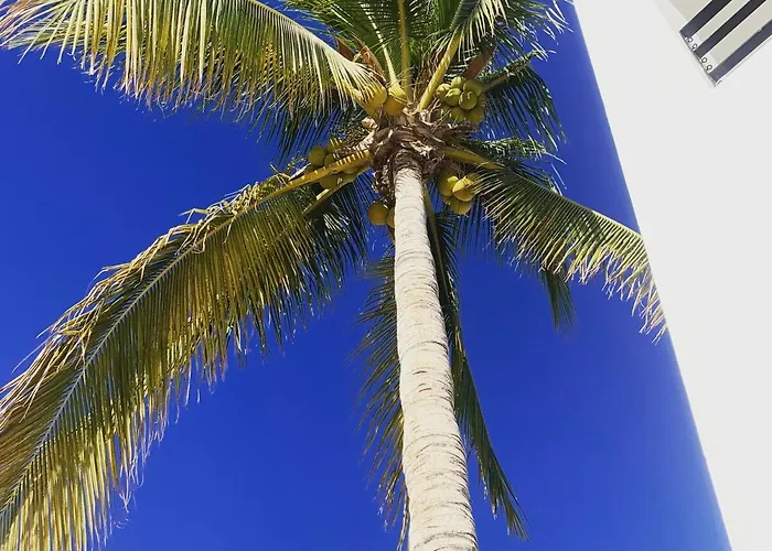 Casa Blanca San Jose del Cabo